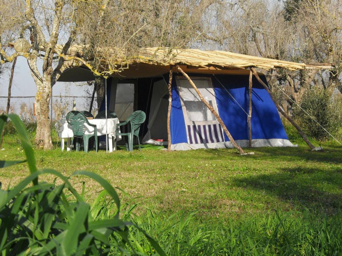 Camping Terreno-Ro-Bi-Li Hotel Cutrofiano Luaran gambar