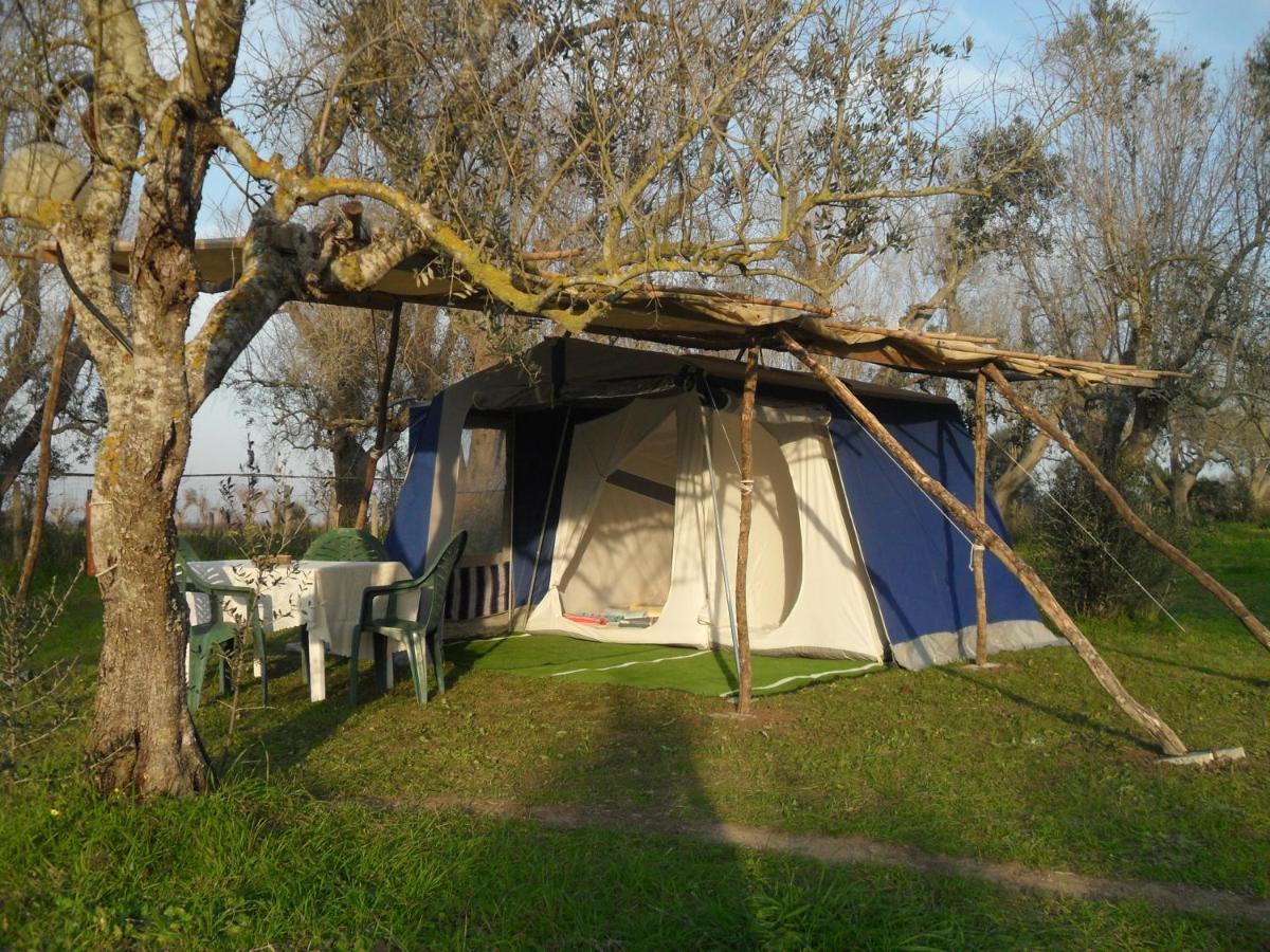 Camping Terreno-Ro-Bi-Li Hotel Cutrofiano Luaran gambar